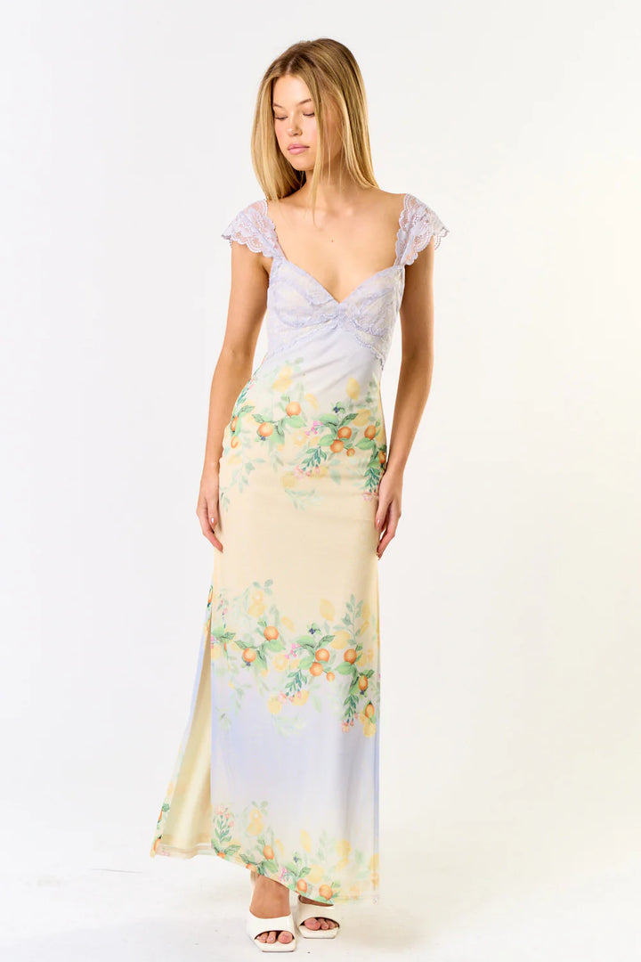 Mesh Maxi Dress