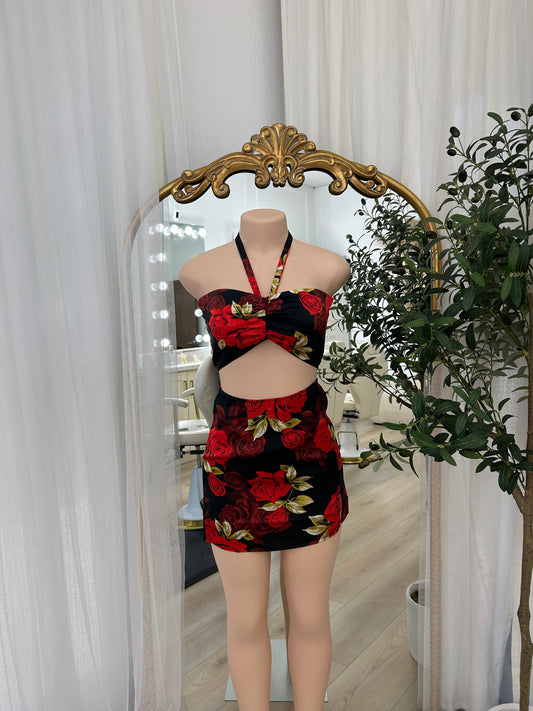 Rose Mini Dress Set